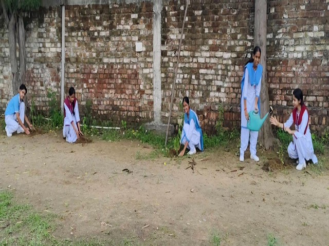 Sant Nischal Singh Public School, Ladwa